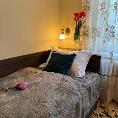 Hotel Rudolf II Karlovy Vary 4* Карловы Вары